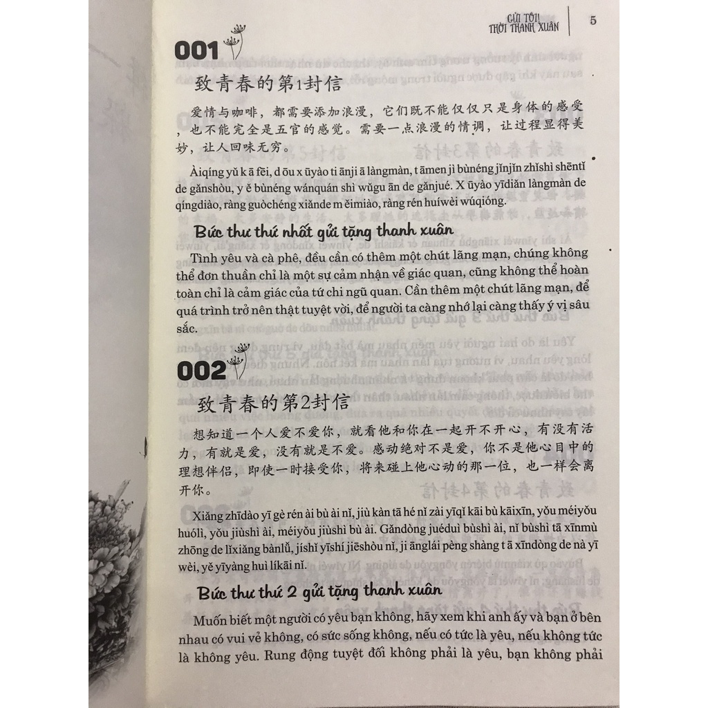 Sách - Gửi tôi thời thanh xuân - Song ngữ Trung Việt có phiên âm có mp3 nghe + DVD tài liệu