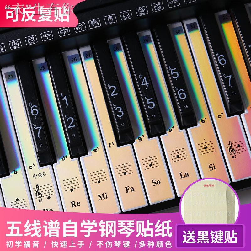 Miếng Dán Trang Trí Bàn Phím Đàn Piano Điện Tử 61 Không Dính 54 Phím 88 Nút Bấm Nhiều Màu Sắc