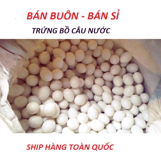 Trứng bồ câu nước 50 quả