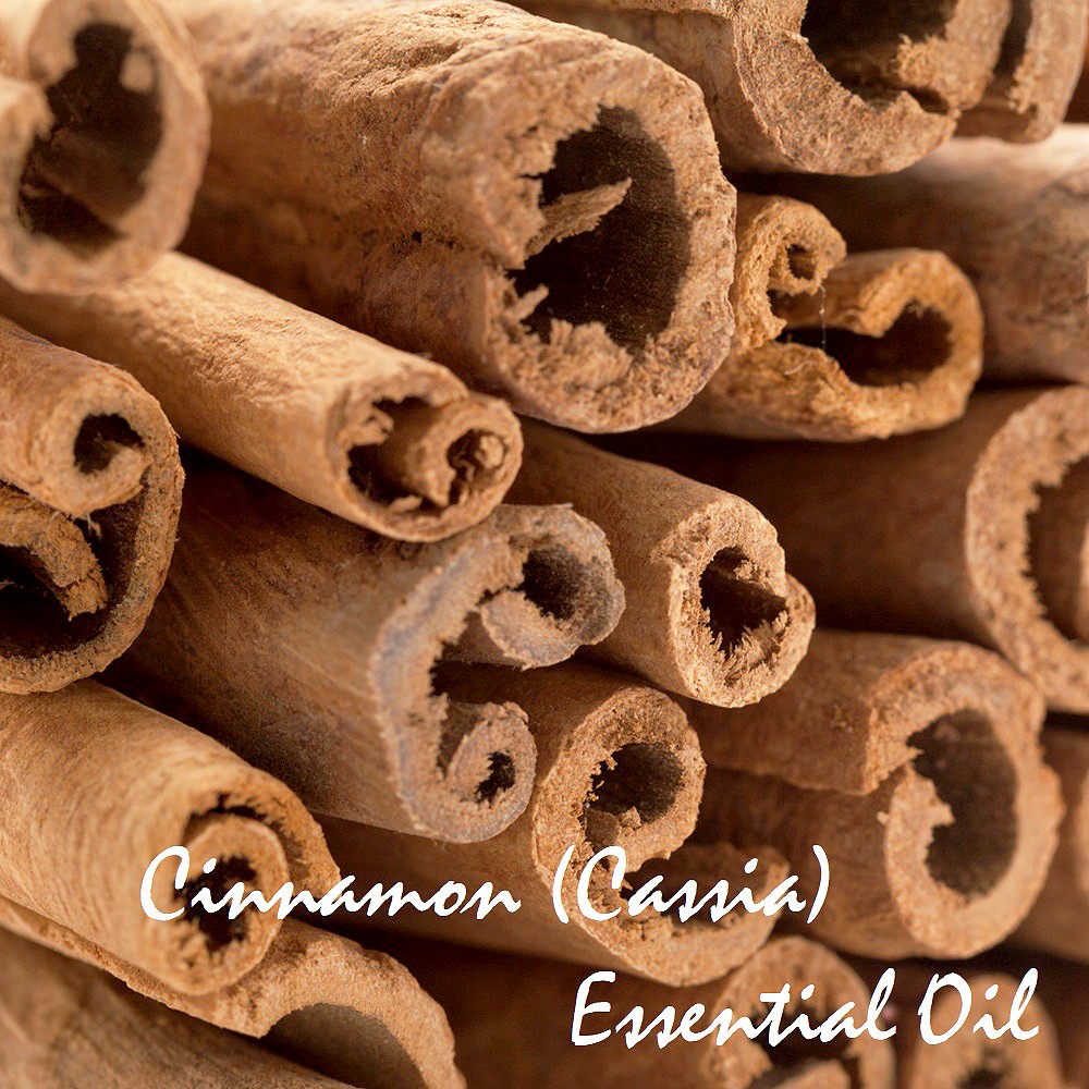 Tinh dầu vỏ quế Cinnamon Bark Essential Oil (Cassia)