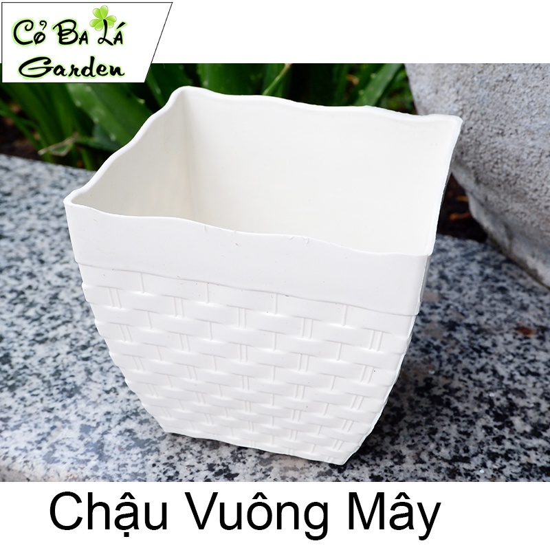 Chậu nhựa vuông đan mây