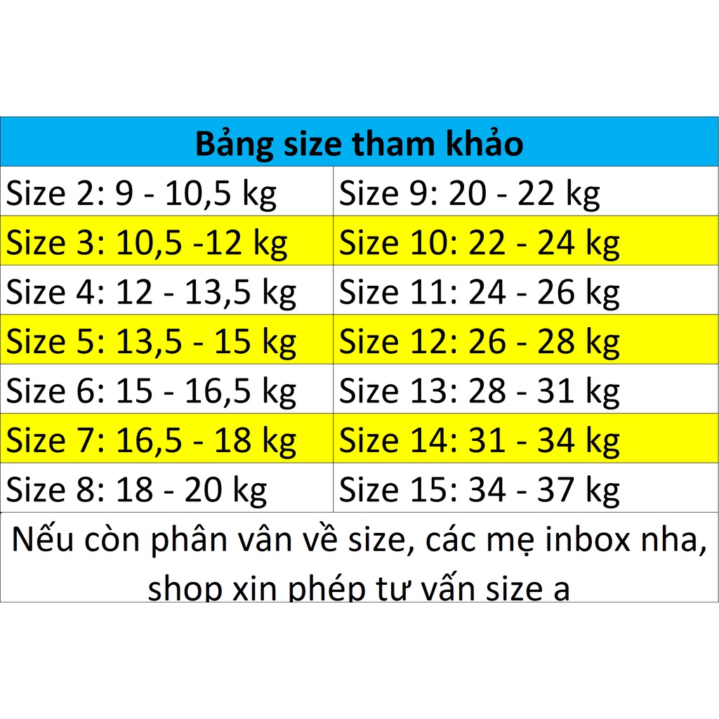 Set bé gái áo Rain phối chân váy caro size 9 - 22 kg