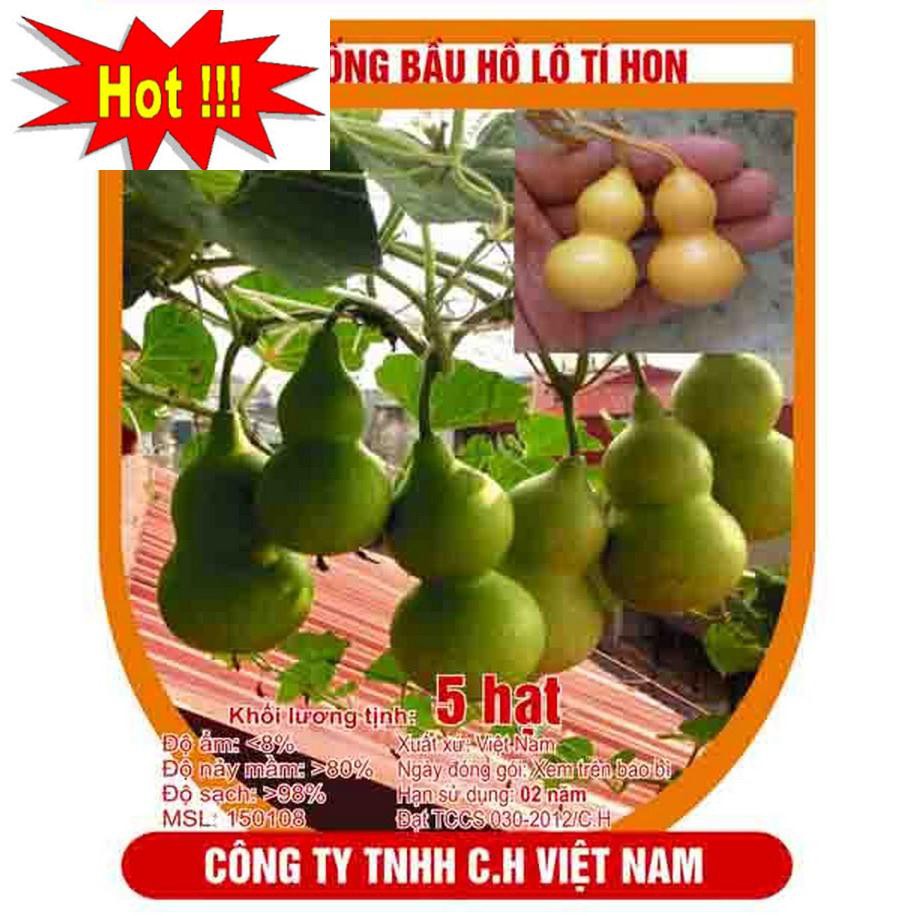 Hạt giống Bầu hồ lô (lớn, tí hon)