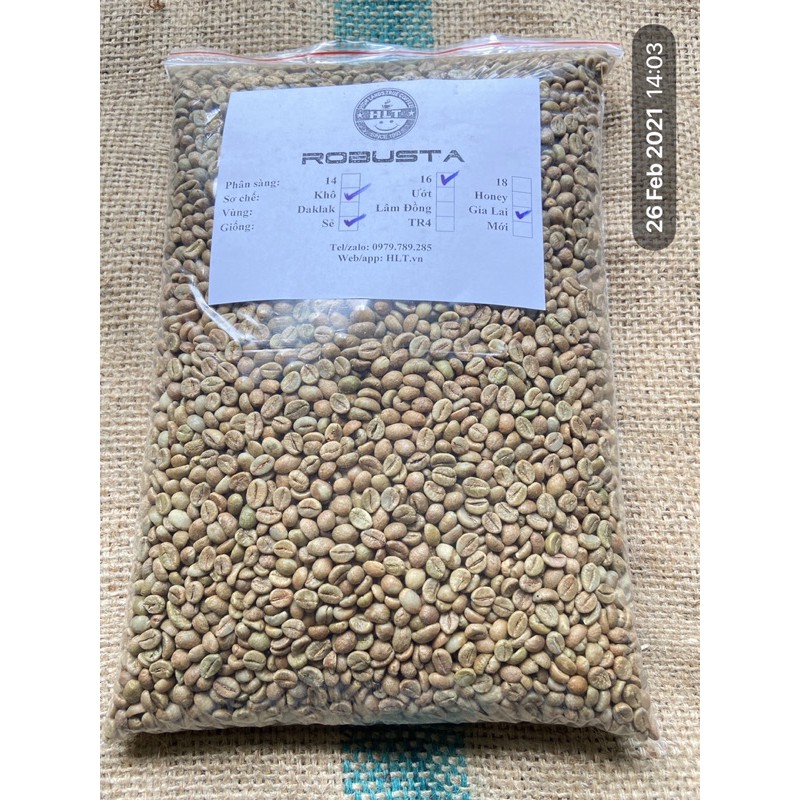 Cà phê nhân sống Robusta natural s16