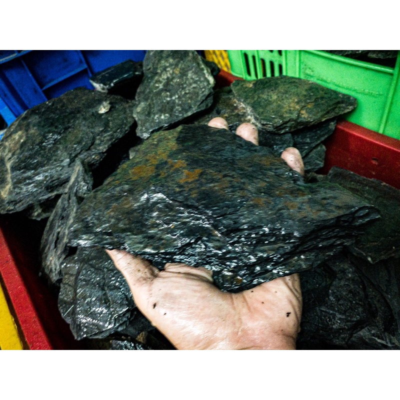 Đá Trầm Tích Đen (1KG)| Trang Trí Setup Bể Thủy Sinh, Biotope, Blackwater| Mua Nhiều Giảm Giá