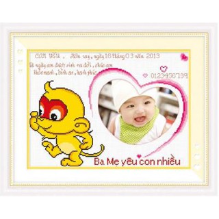Tranh Thêu Chữ Thập 12 Con Giáp Khỉ 222708 (Khách tự thêu) KT:50x38cm