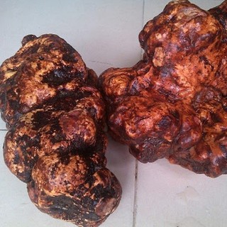 Bột Hà Thủ Ô Đỏ 100g