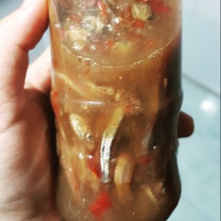 MẮM NÊM CÁ CƠM NGON NGON