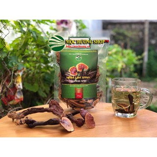 500G Nấm Lim Xanh Quảng Nam