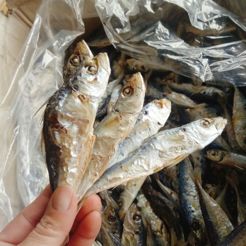 Cá nục khô hấp nhạt nguyên con, cá nhà làm, size 200g, đảm bảo không sử dụng chất bảo quản và chất phụ gia
