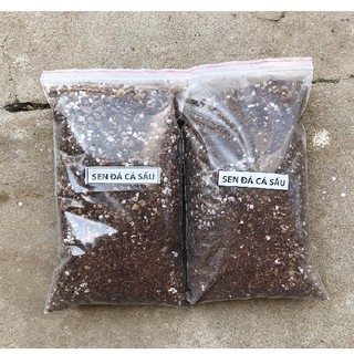 - Đất trồng sen đá, xương rồng Soil Mix loại 1KG