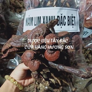 NẤM LIM (NẤM LINH CHI RỪNG) PHƠI KHÔ HÀNG CHỌN 100%- DƯỢC LIỆU TÂY BẮC QUÝ HIẾM (1KG)
