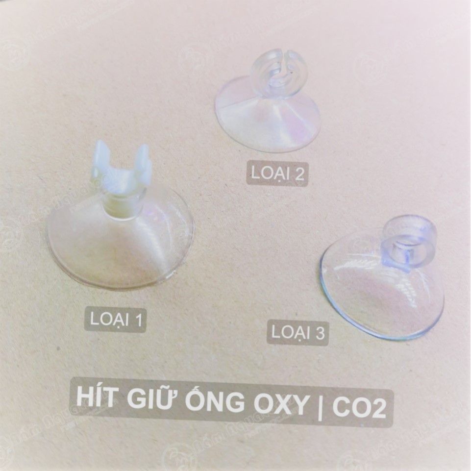 Hít kính giữ dây sủi oxi, dây CO2 4mm