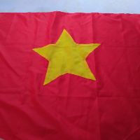 Cờ việt nam
