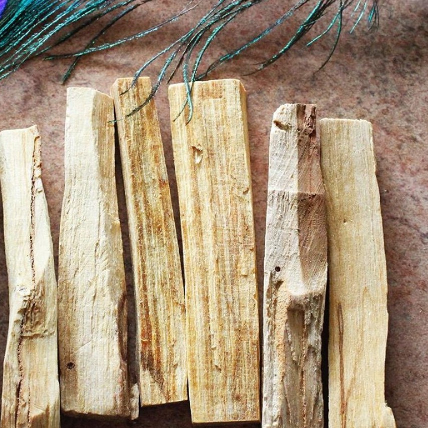 Gỗ Thánh (Palo Santo) Tái Tạo Năng Lượng &amp; Giảm Stress l XÔ THƠM THANH TẨY