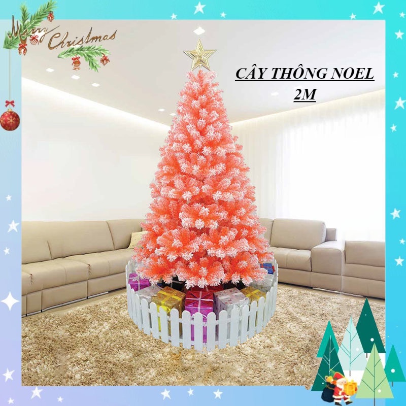 Cây thông noel phủ tuyết 2m đầu tròn quấn chỉ màu cam – cây tự động trang trí giáng sinh nhà thờ, phòng khách