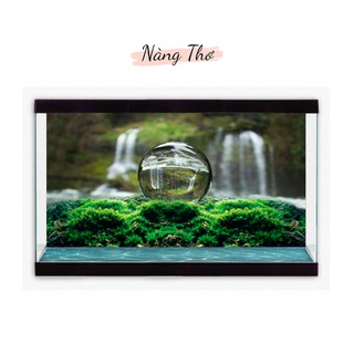 Tranh decal dán hồ cá 3d hình cầu thuỷ tinh_thiết kế nàng thơ