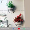 Kệ treo trang trí chậu cây xanh lên tường WB001