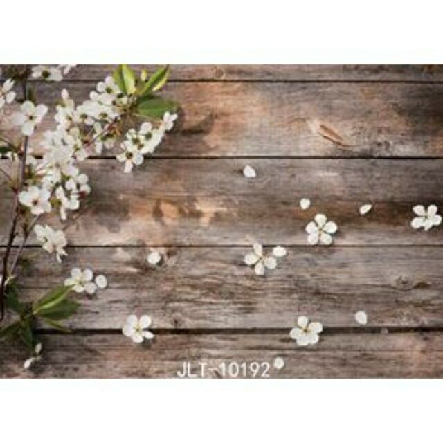 Combo font nền chụp ảnh 3D + kẹp