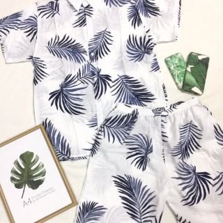 Combo bộ gia đình chất đũi