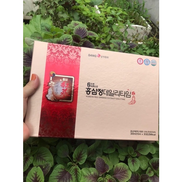 Hồng sâm SangA người lớn