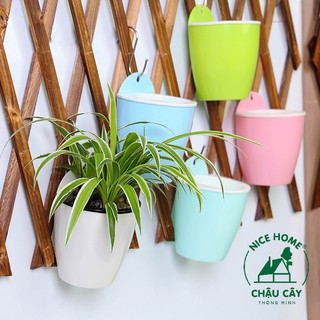 Chậu cây tự dưỡng thông minh - K06