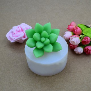 Khuôn xương rồng sen đá 13 cánh 8 cm - khuôn silicon