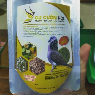 CÁM CU GÁY - CU CƯỜM N.C.L #CÁM_CHIM