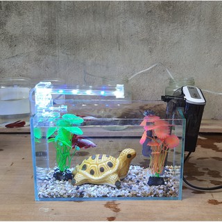 Bể cá mini 24 cm với 5 món (bể 24, sỏi nền, máy lọc, 2 cây nhựa mini, pk nhỏ)