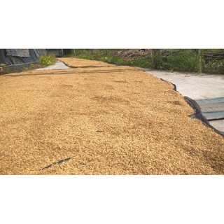 Gạo xát dối DẺO THƠM  - 5kg (Xay còn 5% cám)