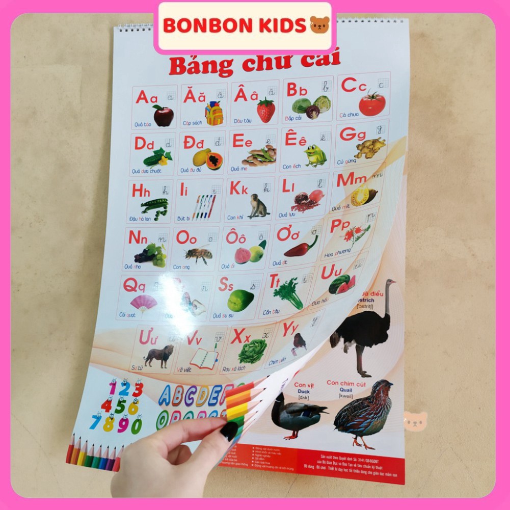 Bộ tranh treo tường song ngữ 12 chủ đề cho bé  BONBON KIDS