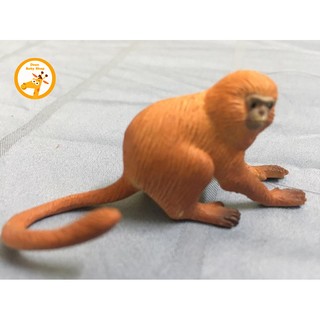 MÔ HÌNH 36 ĐỘNG VẬT HOANG DÃ