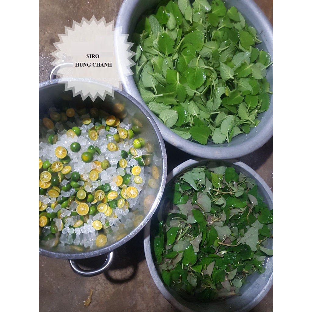 1kg Húng chanh tươi nhà trồng