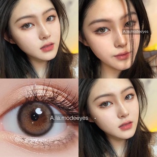 Lens xám chấm