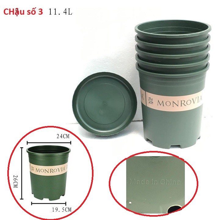 Set 5 chậu nhựa trồng cây Monrovia cỡ số 3 xuất xứ Trung Quốc