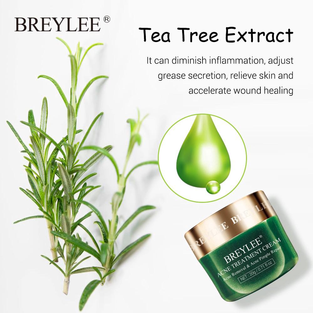Kem Hỗ Trợ Giảm mụn da mặt BREYLEE 20g