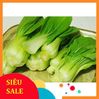 Hạt Giống Rau Cải Thìa/ Cải Chip (300 Hạt) - [MUA 3 TẶNG 1 CÙNG LOẠI] THU THUY