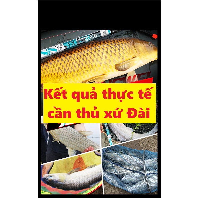 Cần Câu Tay Đài  Lăng Thiên Cao Cấp 5H Chính Hãng [ TẶNG NHẪN,CƯỚC ] - SANAMI FISHING
