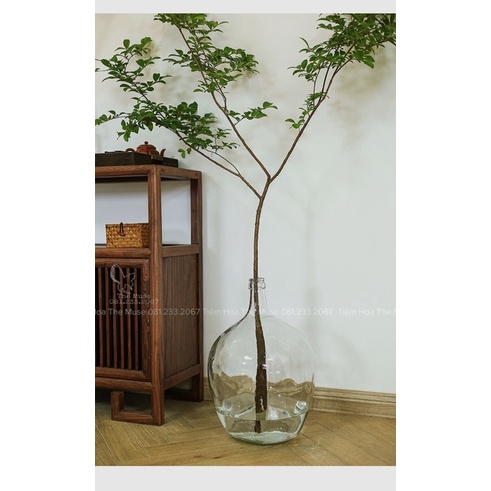 Bình Thuỷ Tinh Decor - Nhất Chi Mai - Phong Cách Wabi Sabi Đơn Giản Mộc Mạc