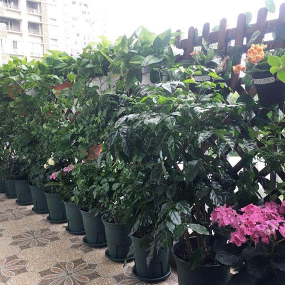 Chậu Hoa Bằng Nhựa Dùng Trang Trí Nhà Cửa / Sân Vườn