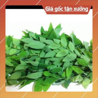 Hạt giống rau ngót- gói 1 gam