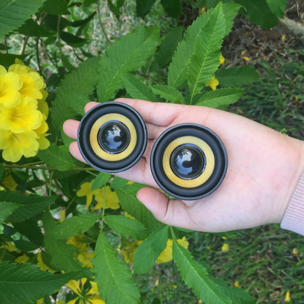 Loa toàn dải 4 omh 5W 50mm màng sợi thủy tinh tặng màng cộng hưởng 50mm