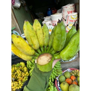 chuối xiêm miền tây nguyên nải (1,4 đến 1,6kg)