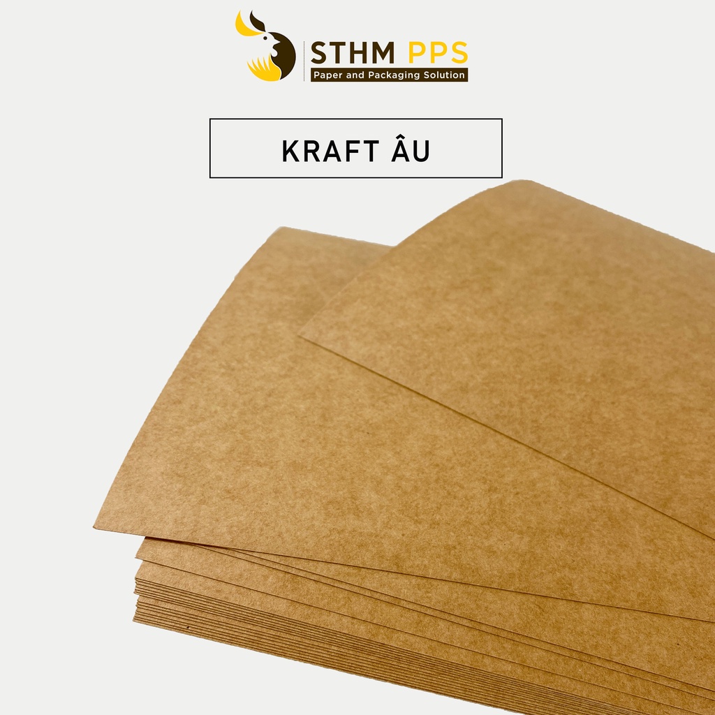 10 tờ giấy Kraft Châu Âu - 300gsm 440gsm - Cắt sẵn khổ A4+ A5 - Làm bìa sổ tay - STHM PPS