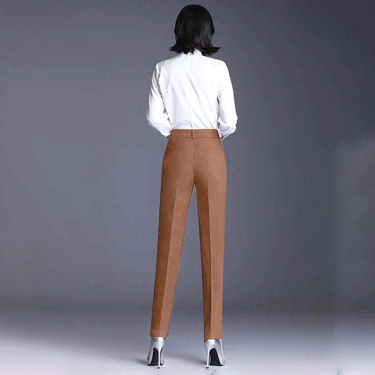 Quần tây công sở nữ kiểu mới ống đứng màu nâu nhạt sang trọng thanh lịch