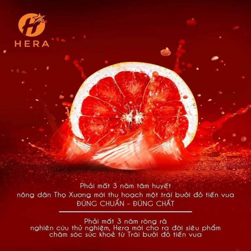 Nano bưởi đỏ Hera [HÀNG MỚI]