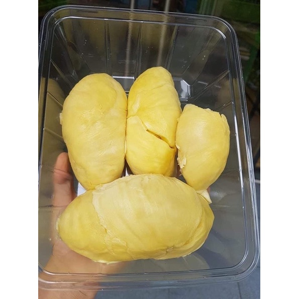 Sầu Riêng 6 Ri ( Cơm Sầu Riêng)