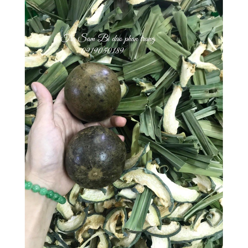 [Mã 267FMCGSALE giảm 8% đơn 500K] Quả la hán cỡ to quả già (1 quả) | BigBuy360 - bigbuy360.vn