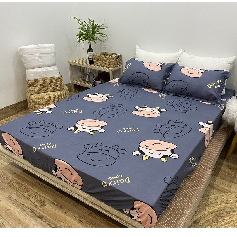 Ga Giường Cotton Poly, Drap Trải Nệm M2 M6 M8 Mẫu Tùy Chọn - Queen Decor | BigBuy360 - bigbuy360.vn