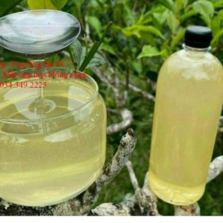 Mật ong nguyên chất của hoa blong song mật vàng ngà thơm sánh đặc rất ngon